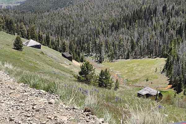Bluebird Mine Trail Loop