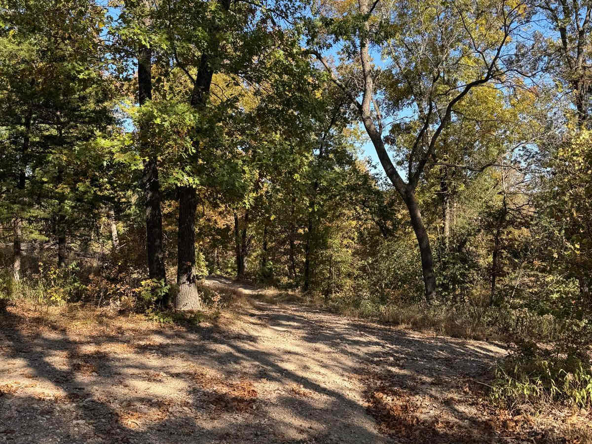 Yellow 71 trail photo