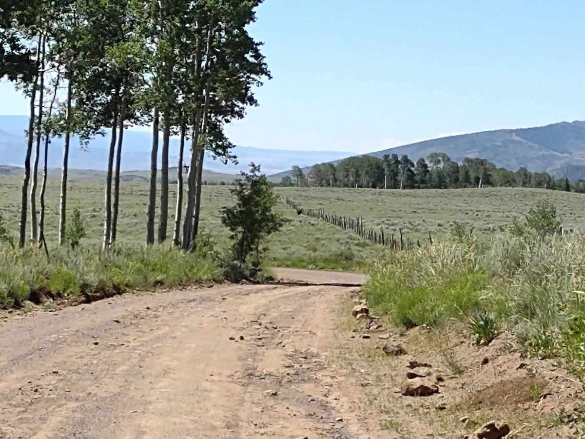 Cove Mountain Road South photo 6