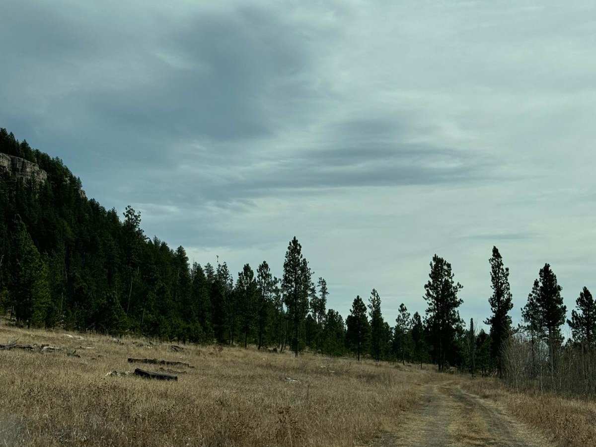 Hughes Draw & Horsethief Road photo 4