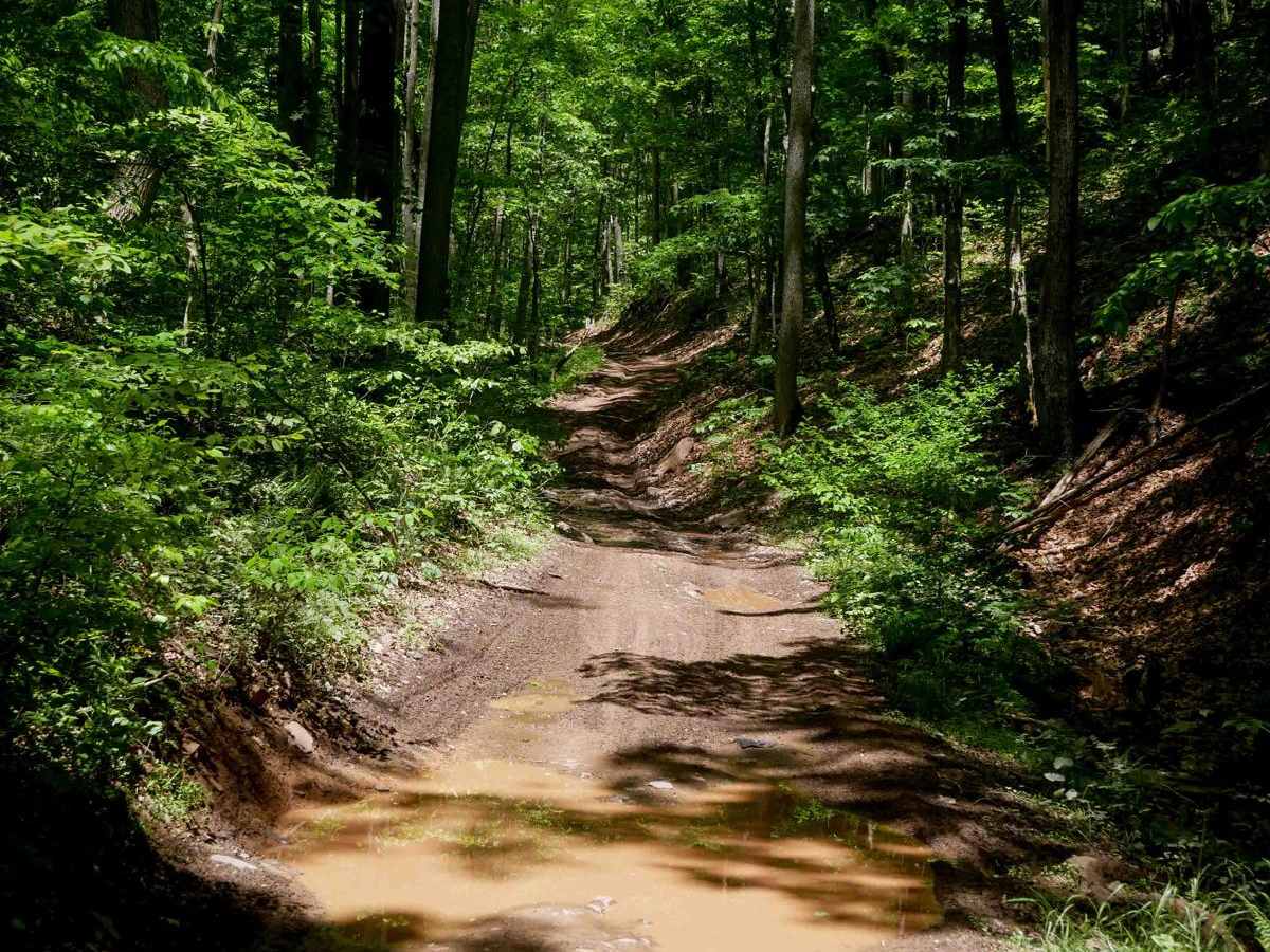 Trail 17 photo 3