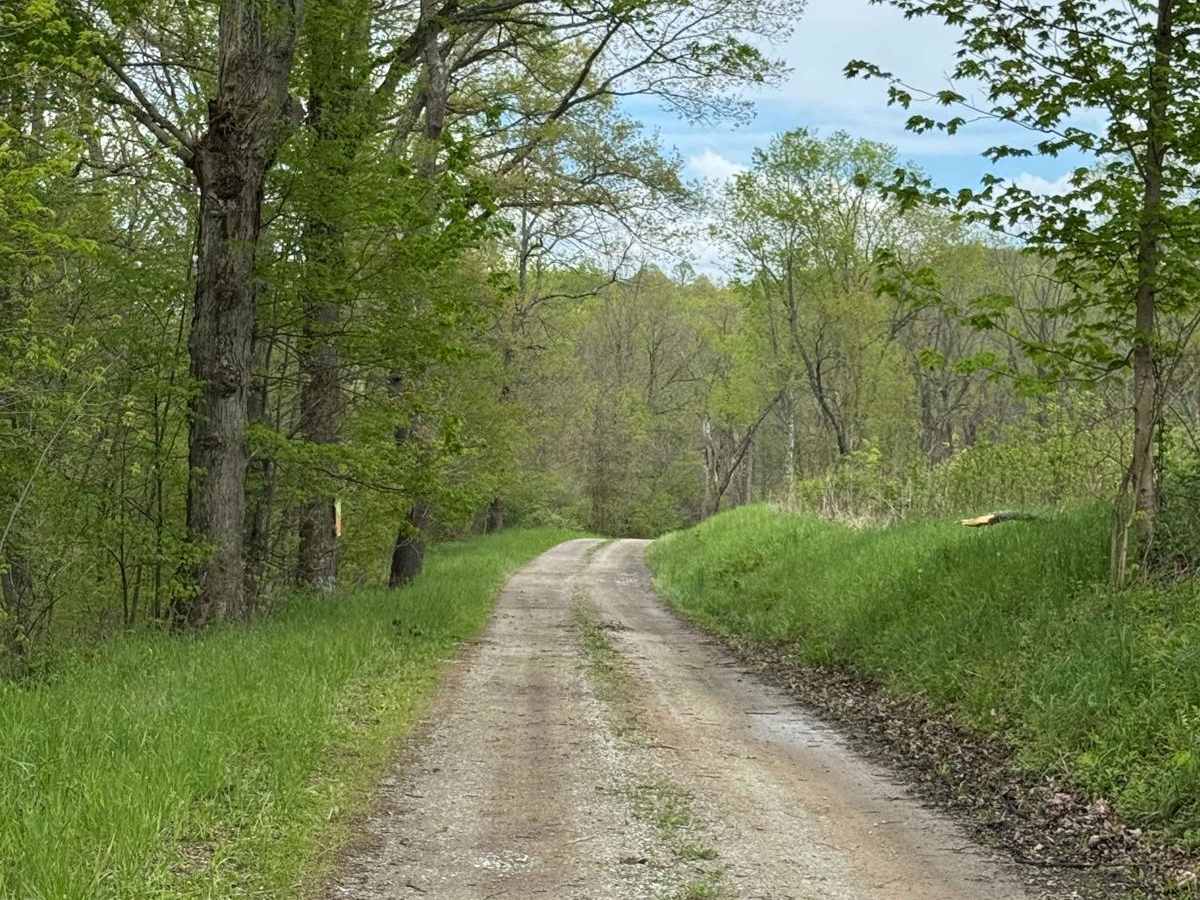 Young Road photo 4