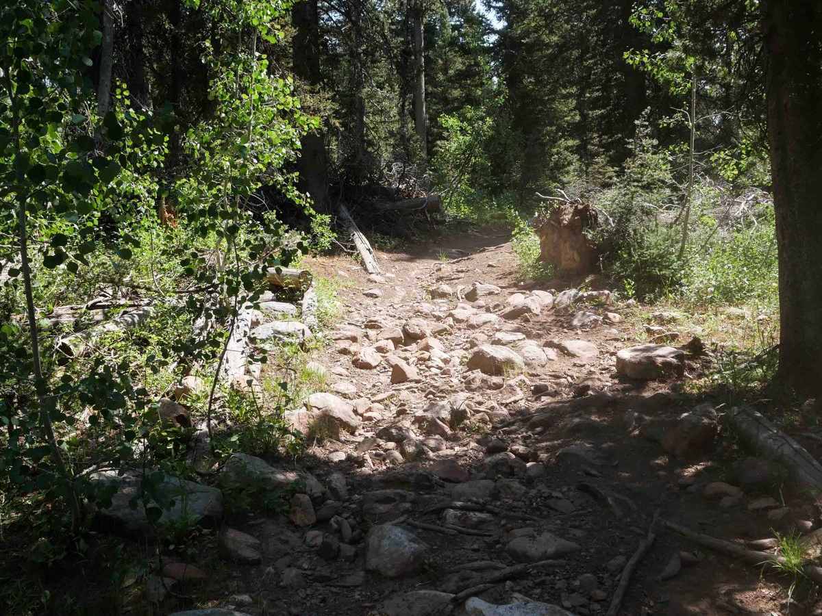 Squirrel Hollow #3358  photo 5