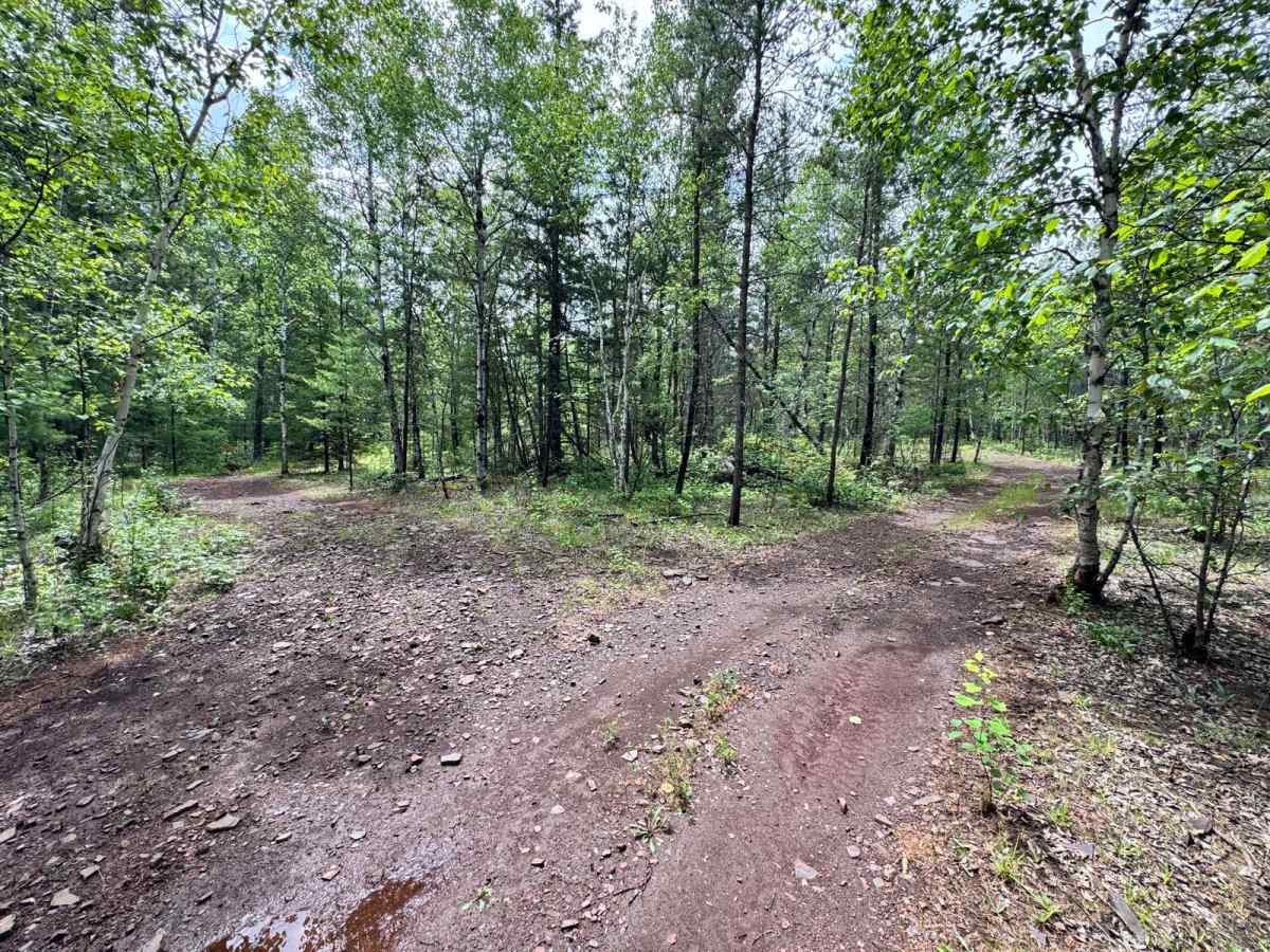 Camper Trail photo 5