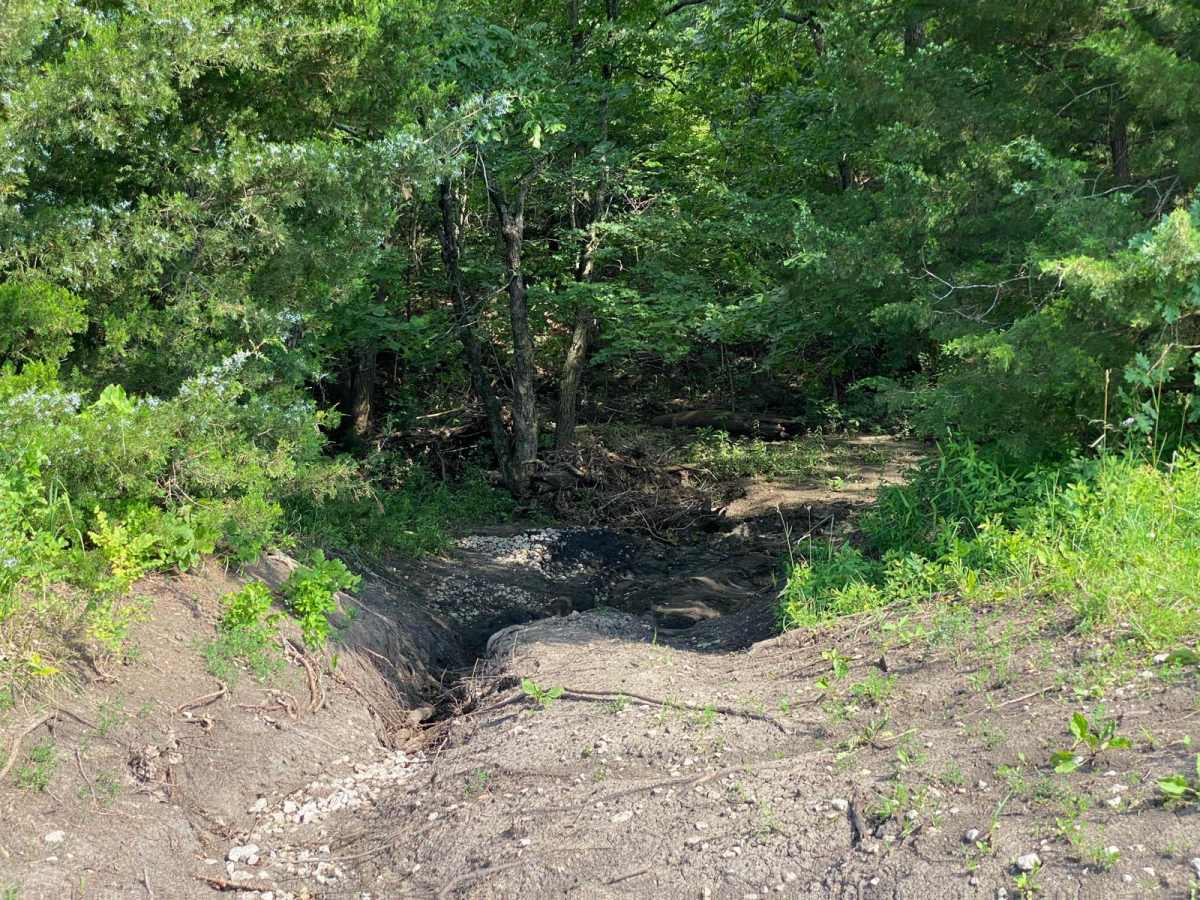 Troxel's Trough trail photo