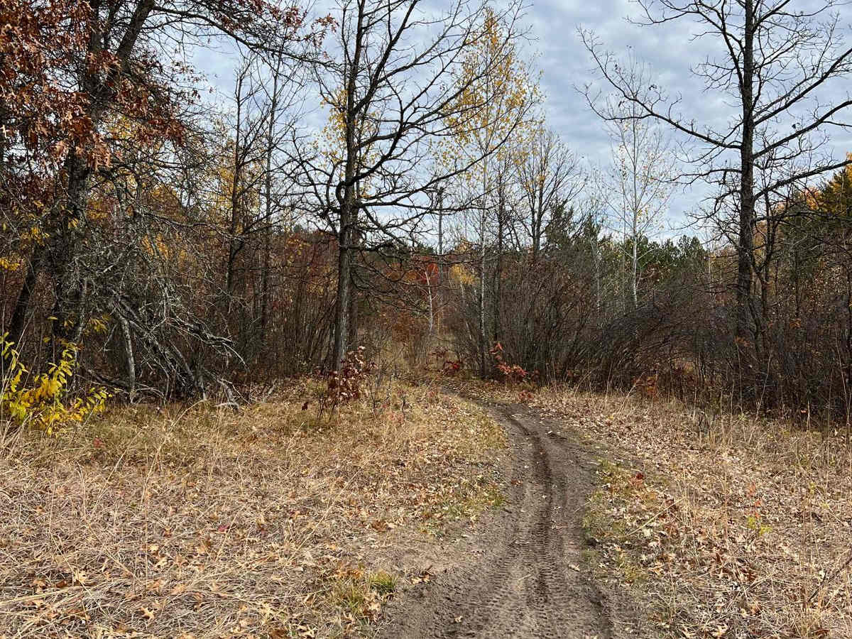 Crow Wing River Single Track photo 6