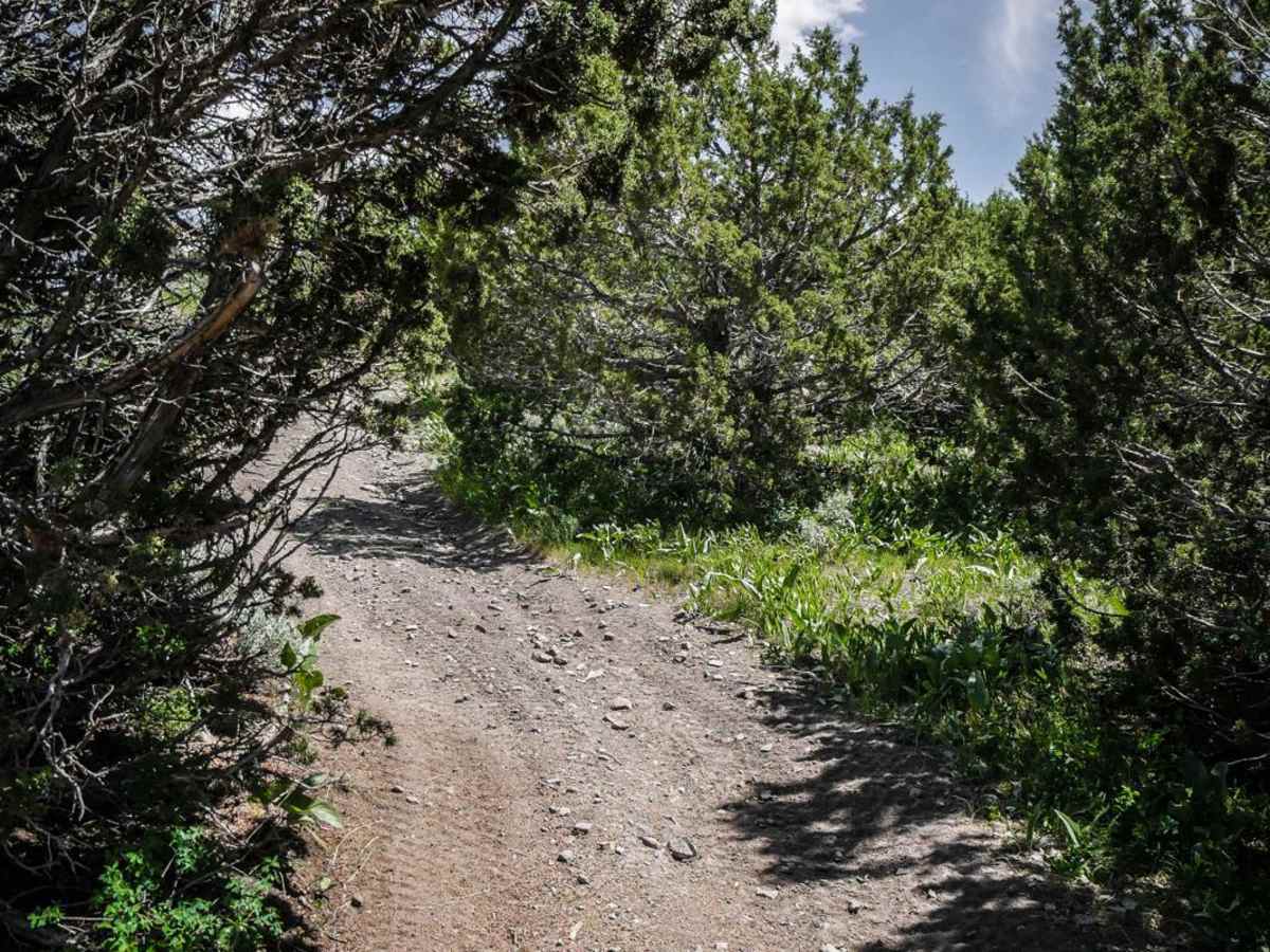 Trail Hollow to Maple Hollow photo 5