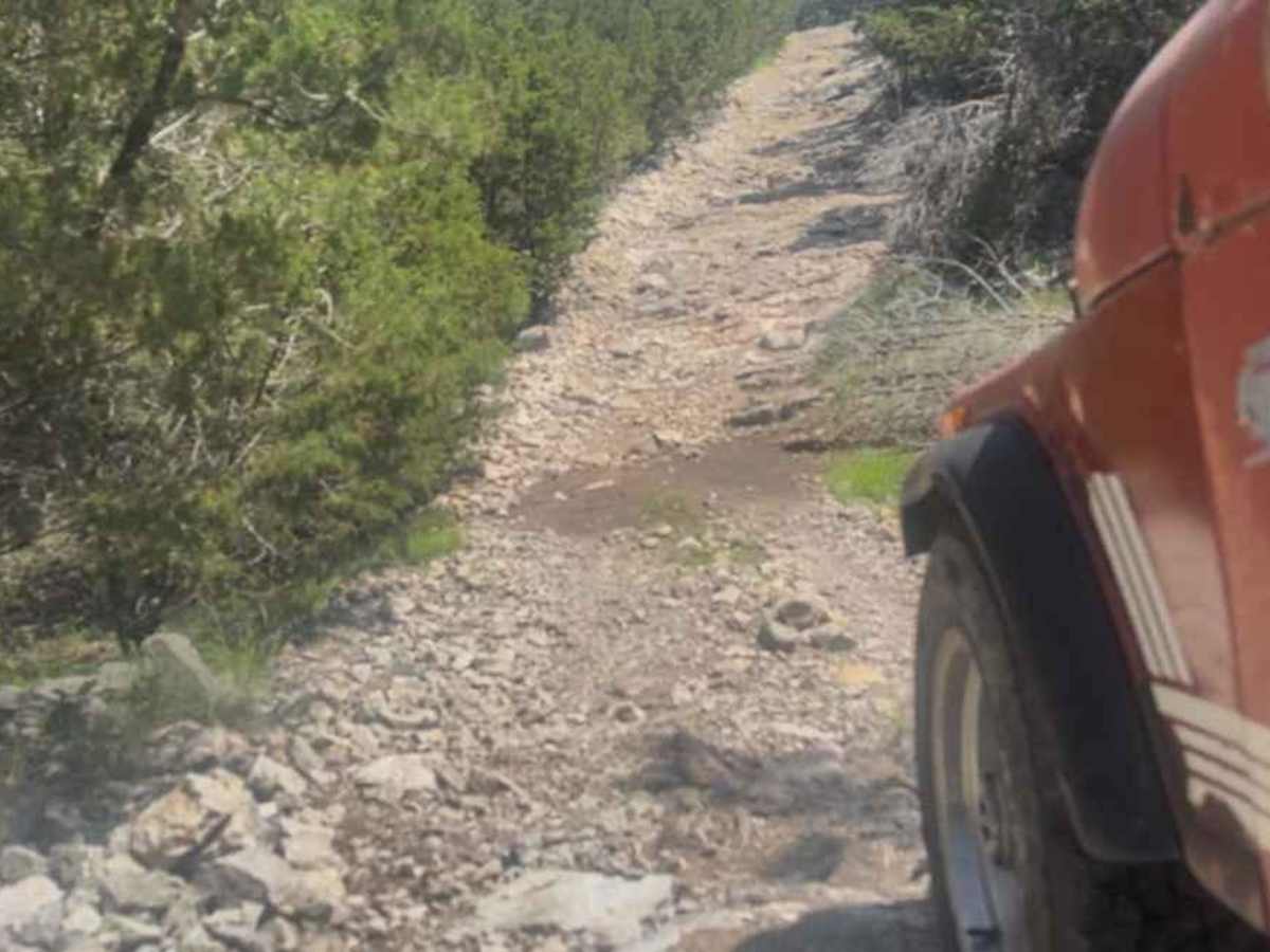 Powerline 2nd Segment photo 4