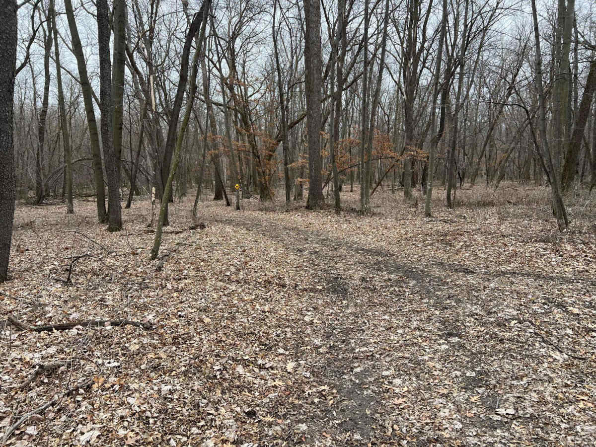 Meeker County OHV Park Outer Loop photo 3