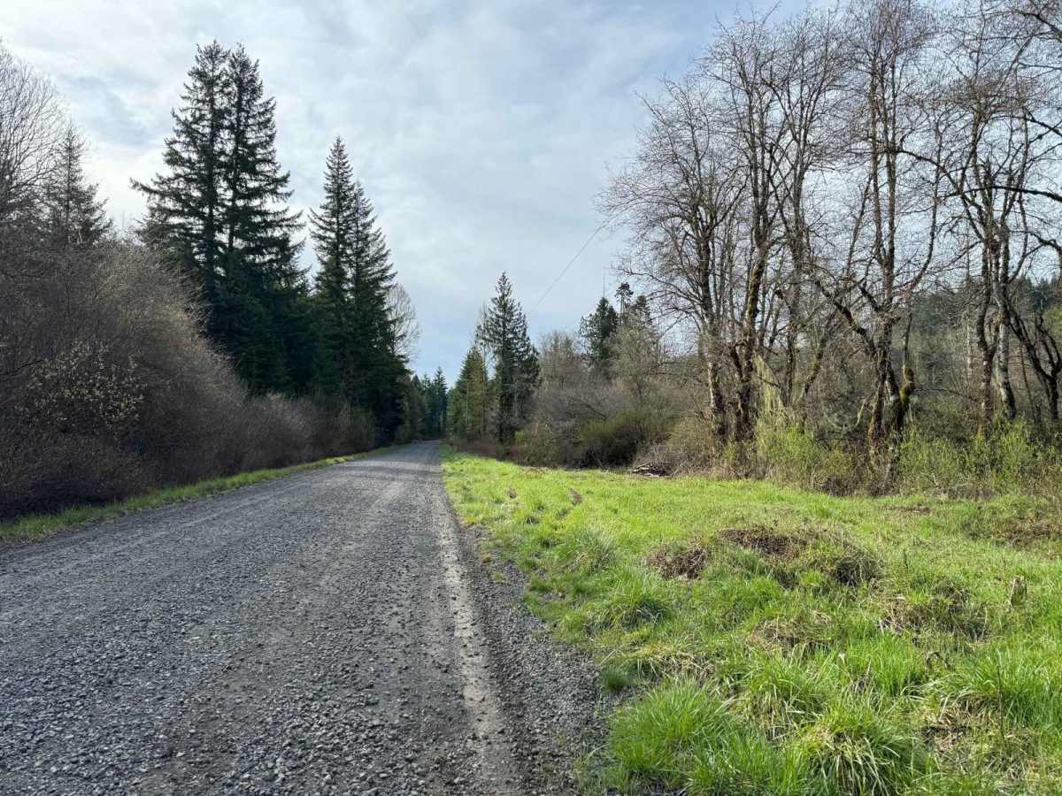 Shaffer Road photo 4