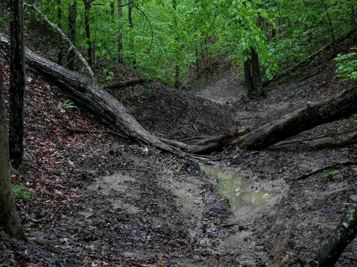 IB 89 trail photo
