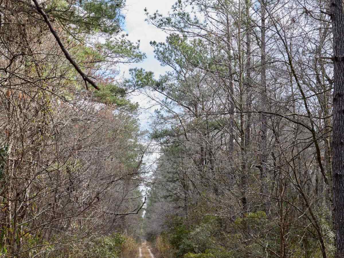 Little Hell Hole Bay - FSR137 photo 6