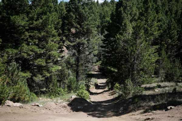 Trail 21