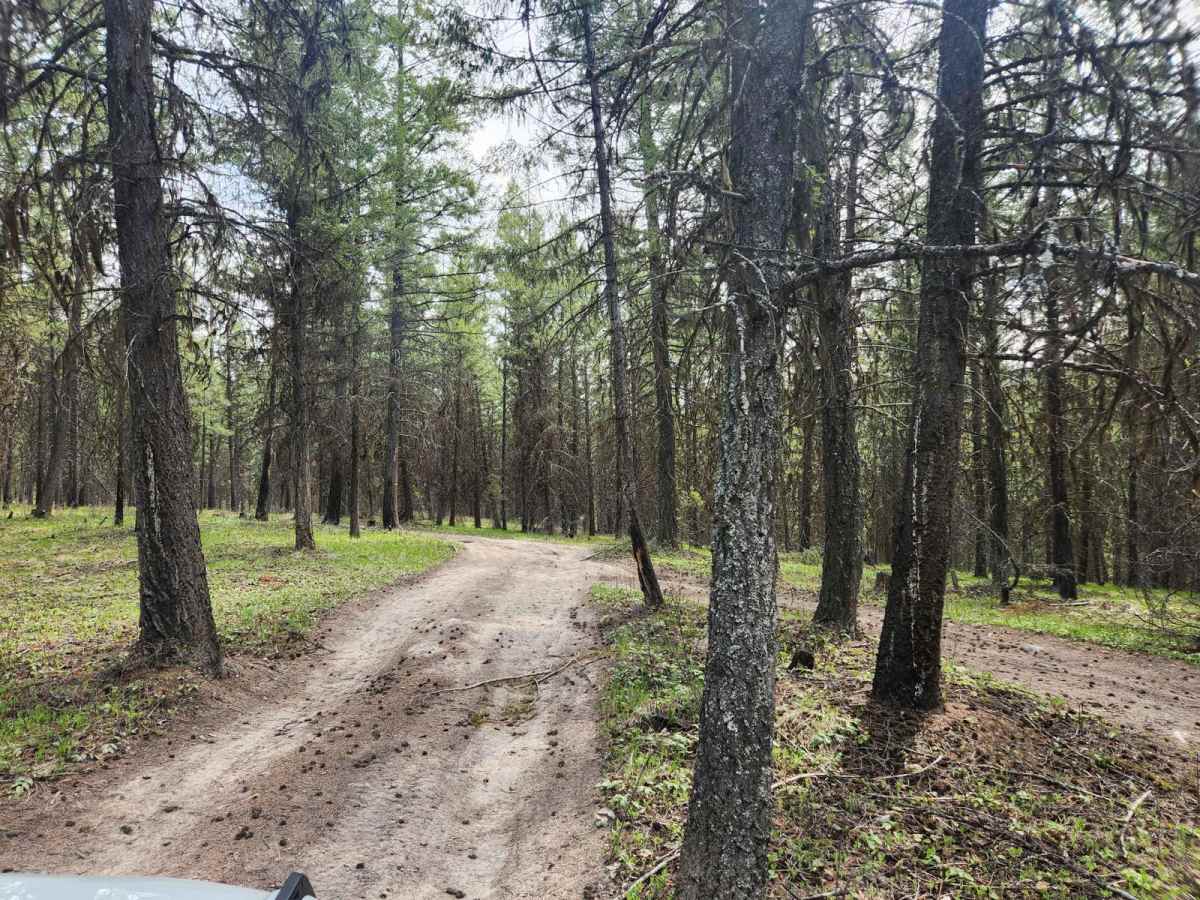 Pinkham Falls Route photo 4