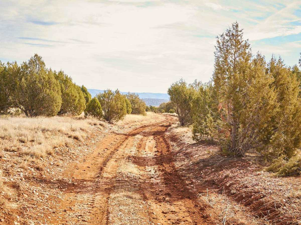 Dirt Fence Bypass photo 5