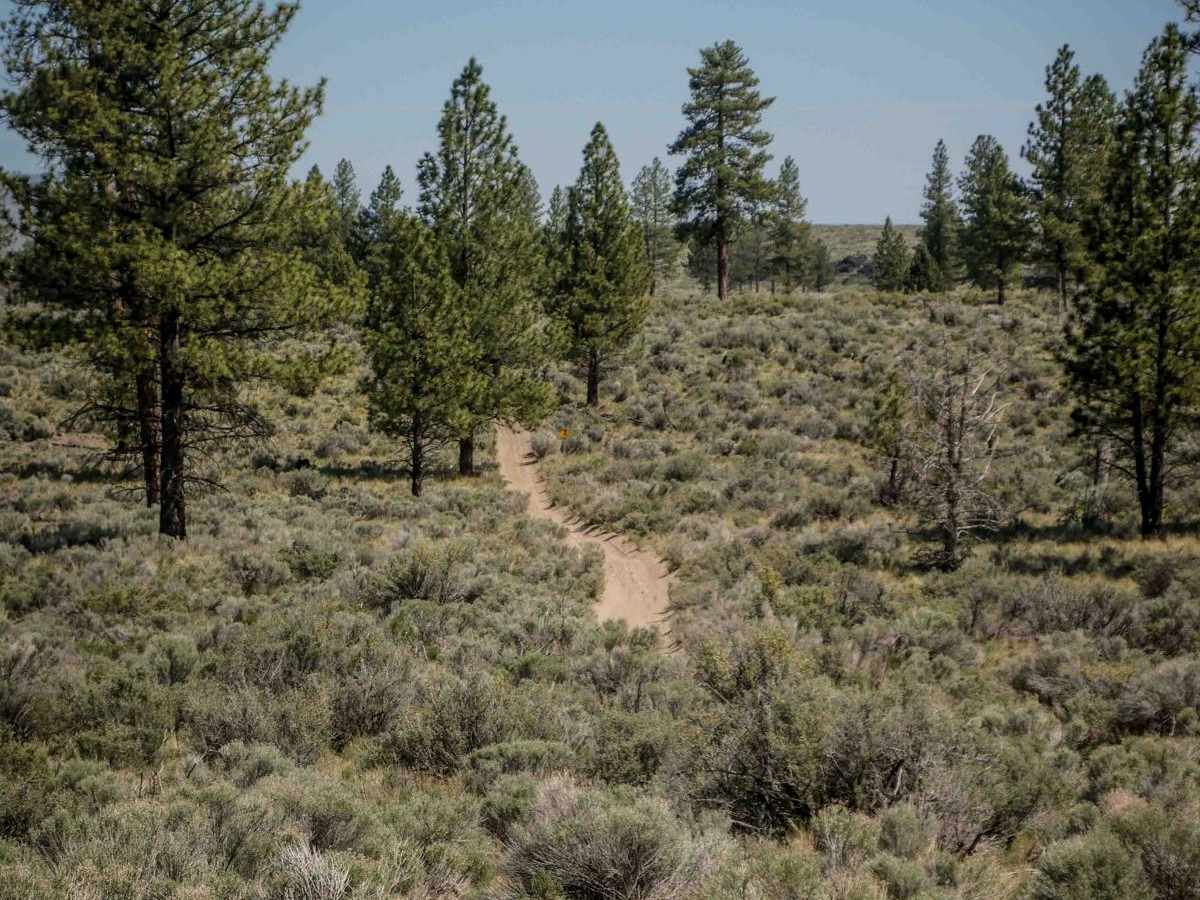 26 trail photo