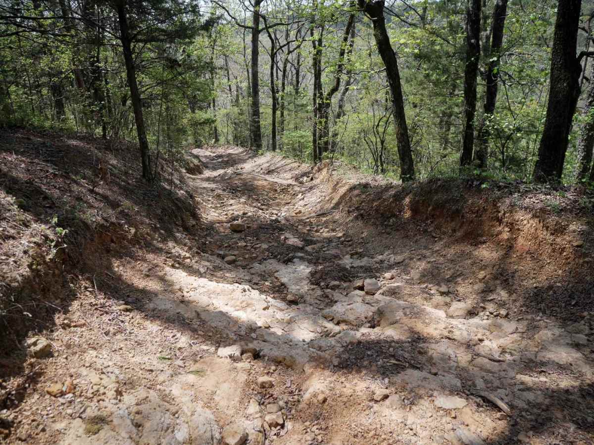 Black Oak Ridge photo 3