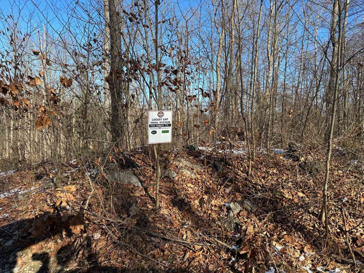 Locust Gap 73 photo 4