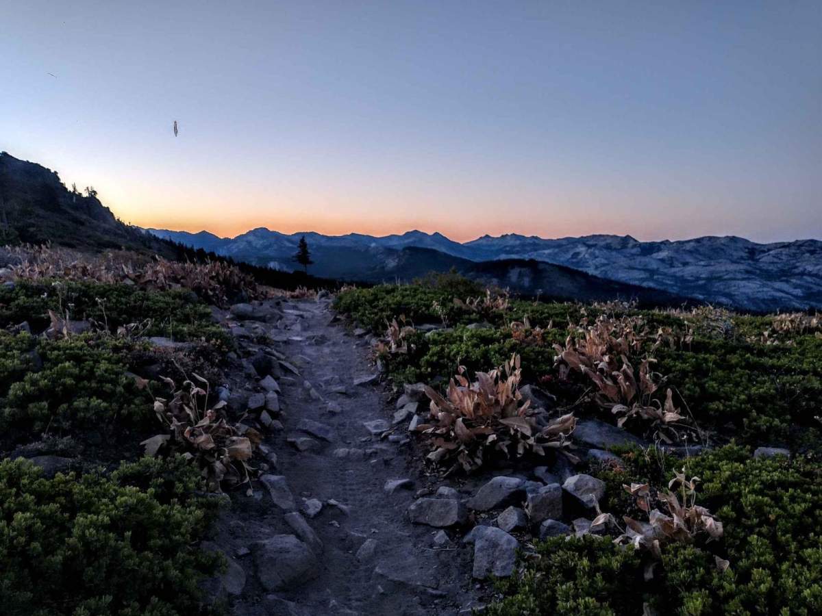 Ellis Peak Bike Trail photo 3
