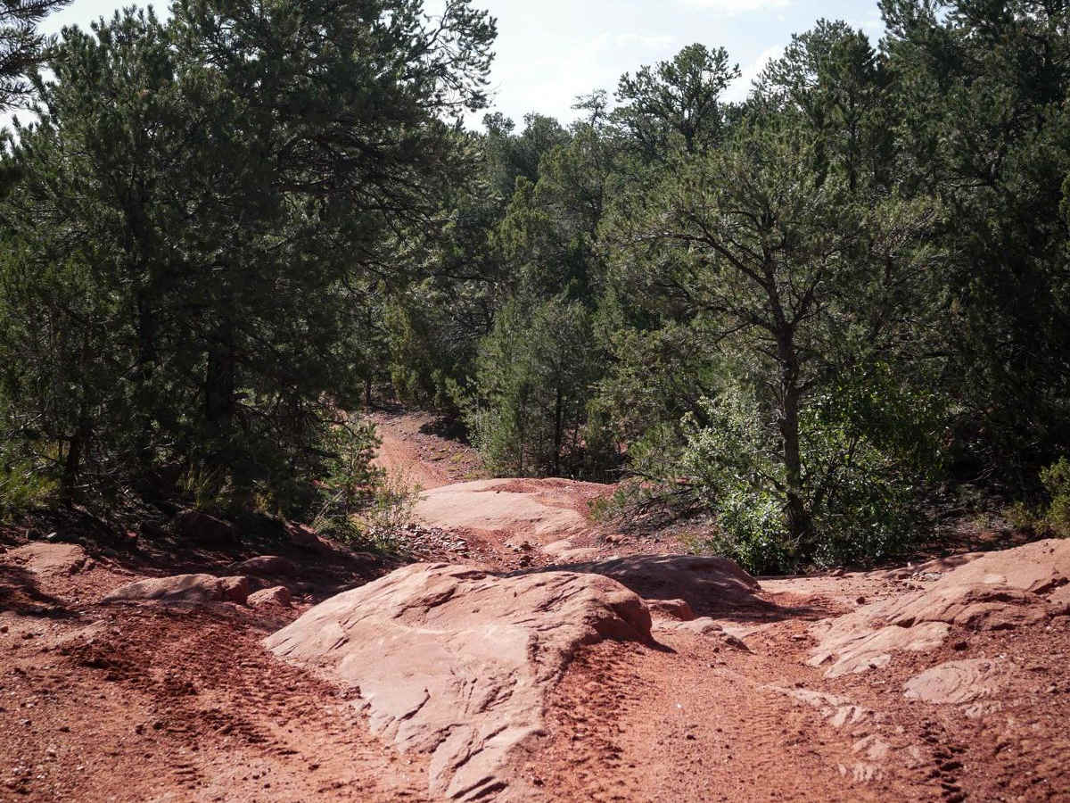 5830A trail photo
