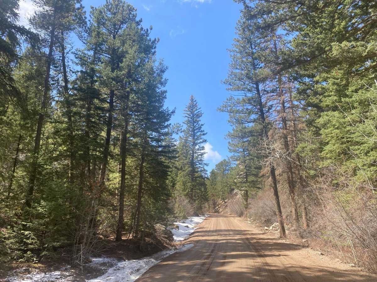 CR 80C Maintained Track of Cherokee Park Road photo 5
