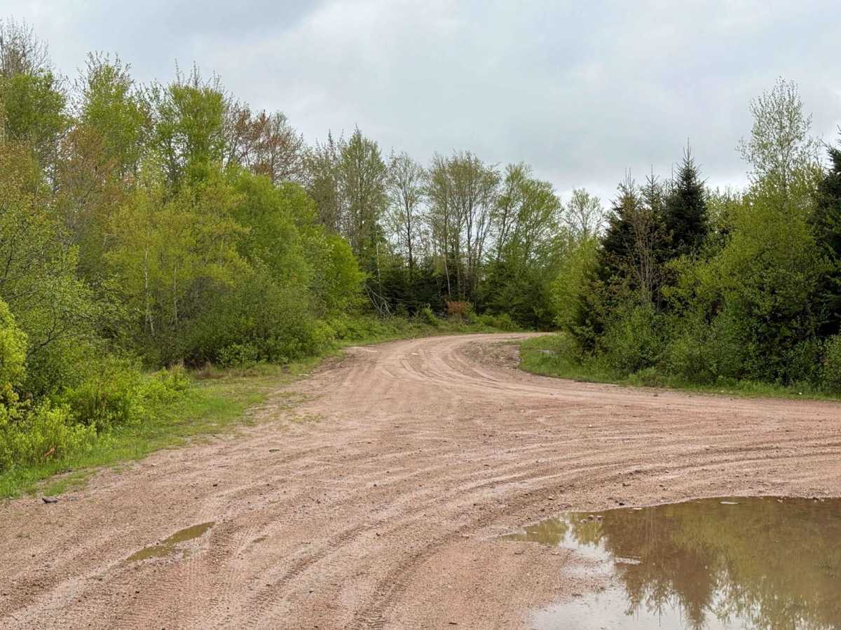 Sweet Road photo 6