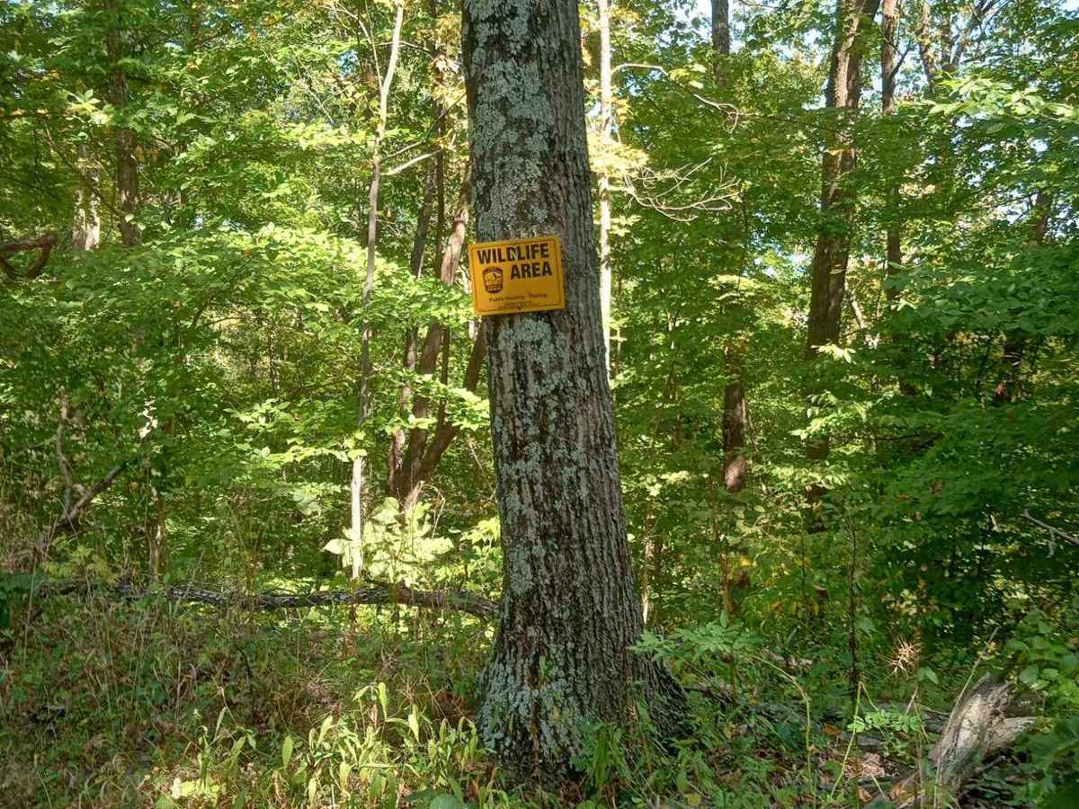 Hunterdon Road photo 2