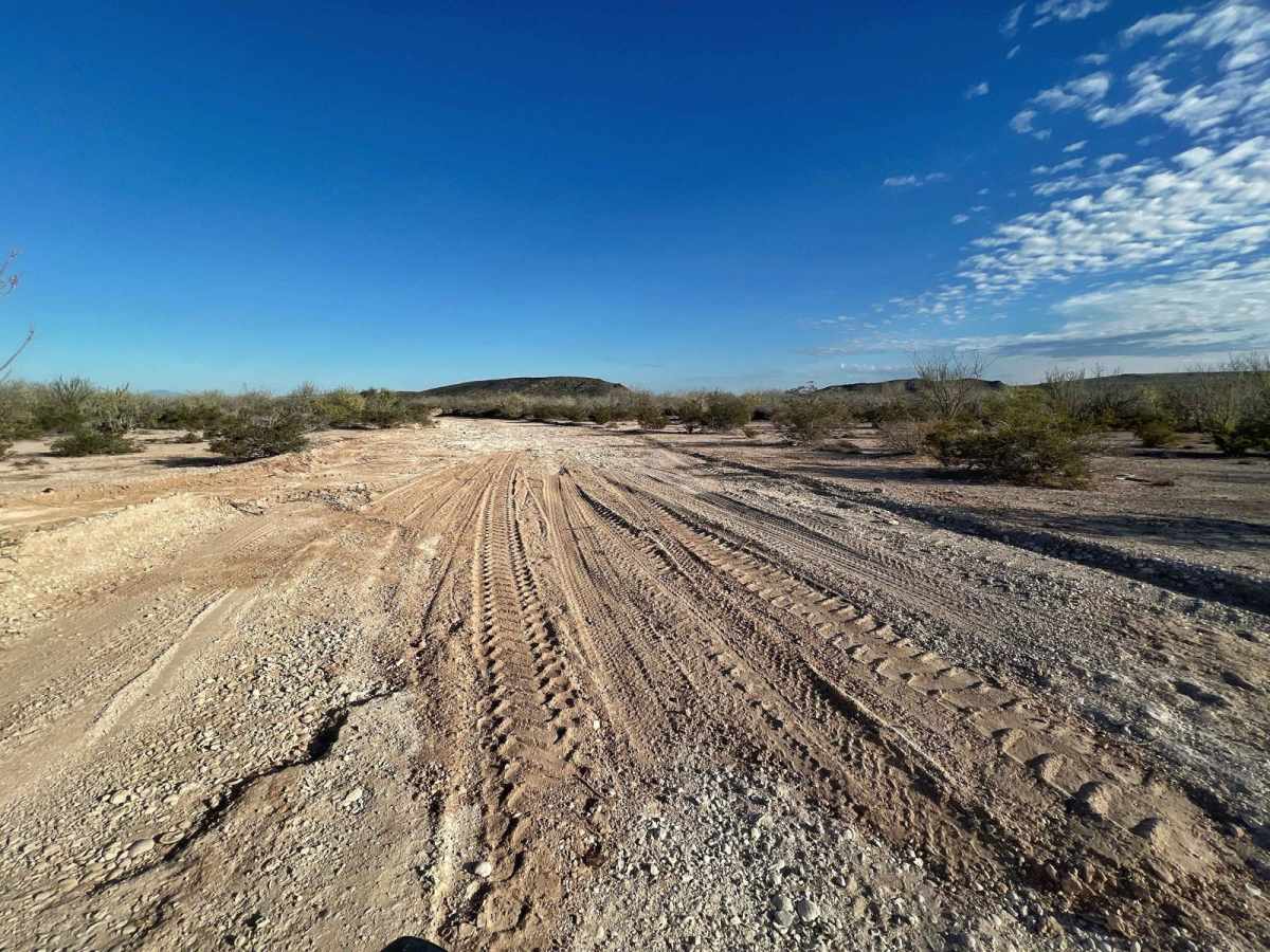Palo Verde Beach photo 3