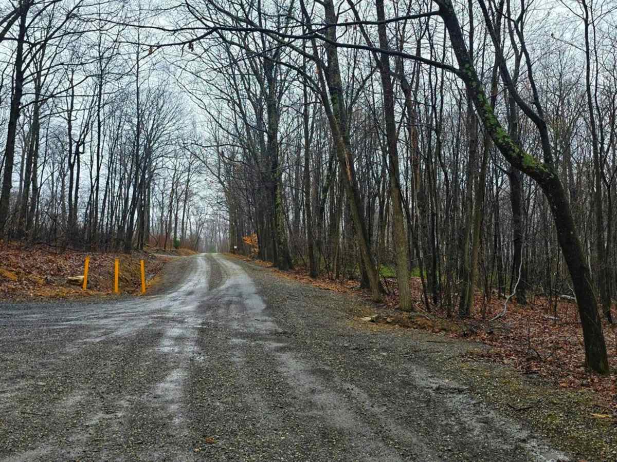 Second Narrows Road photo 2