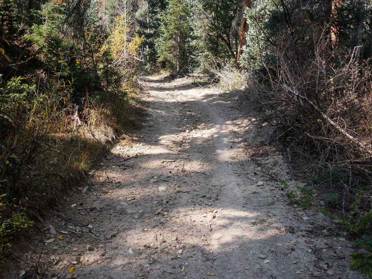Dry Creek ATV Spur photo 5