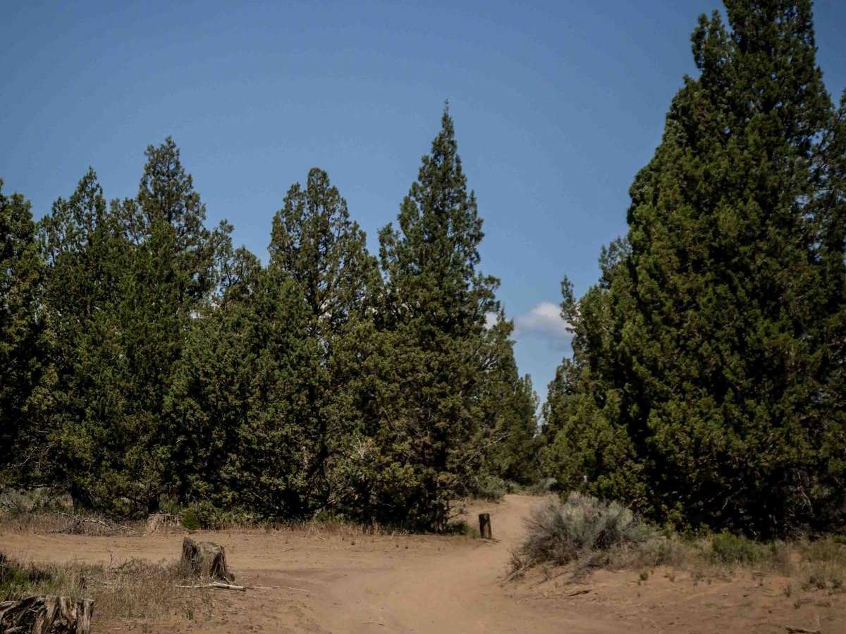 57 trail photo