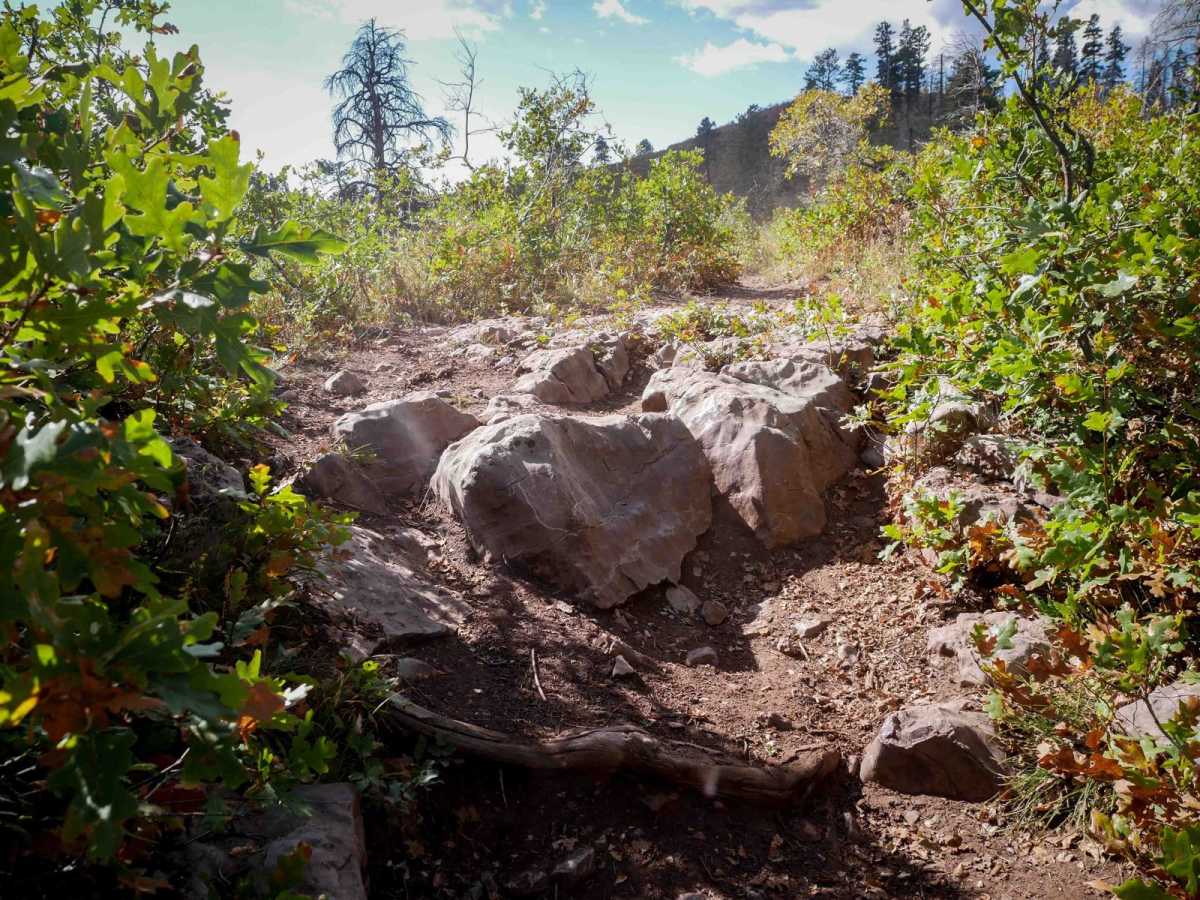 Pinkerton--Flagstaff photo 2