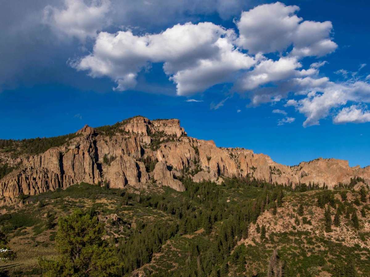 Soap Creek FR 721 photo 3