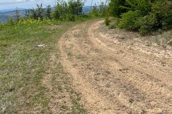 National Forest Development Road 3308