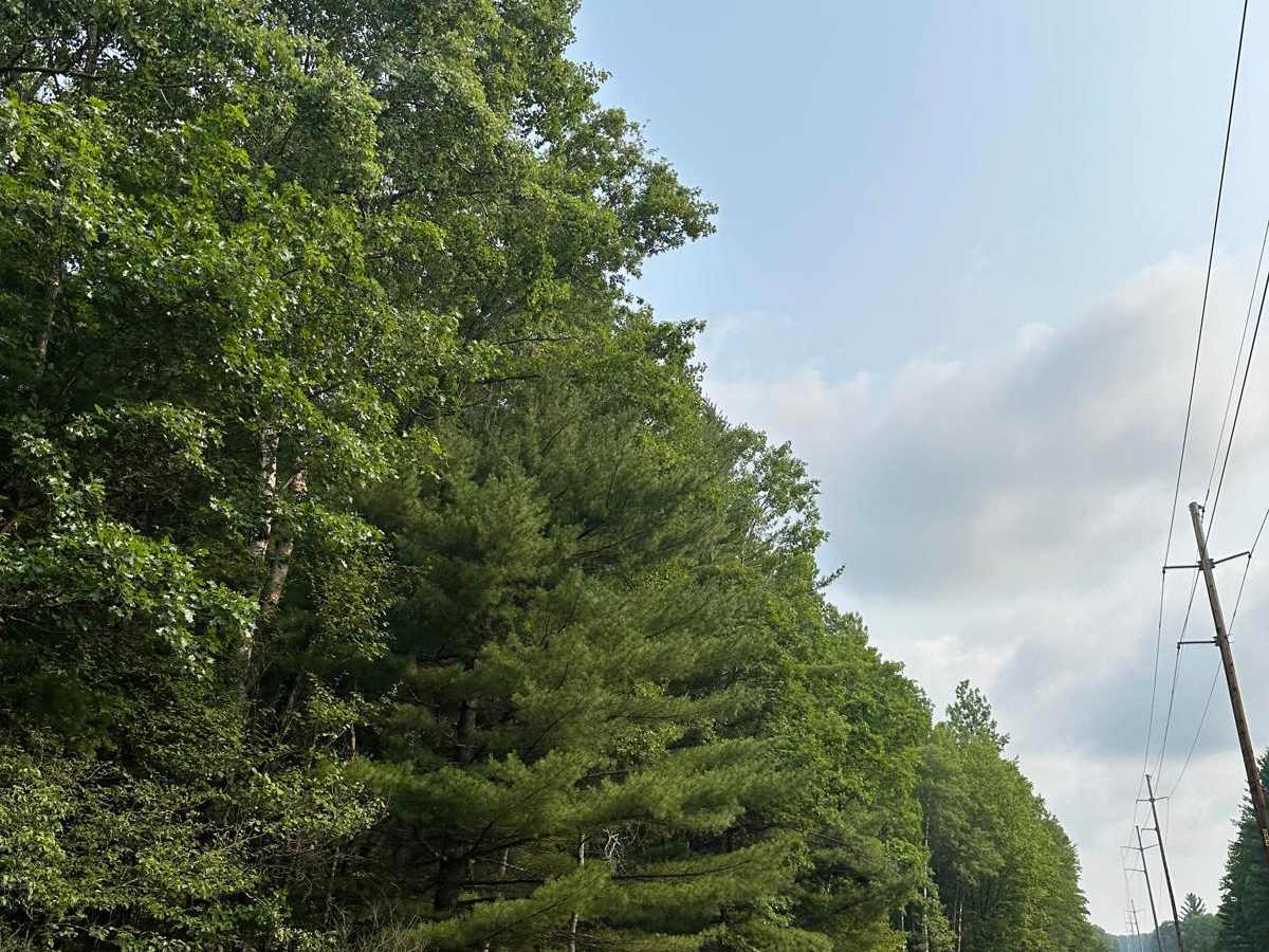 Upper River Road photo 6
