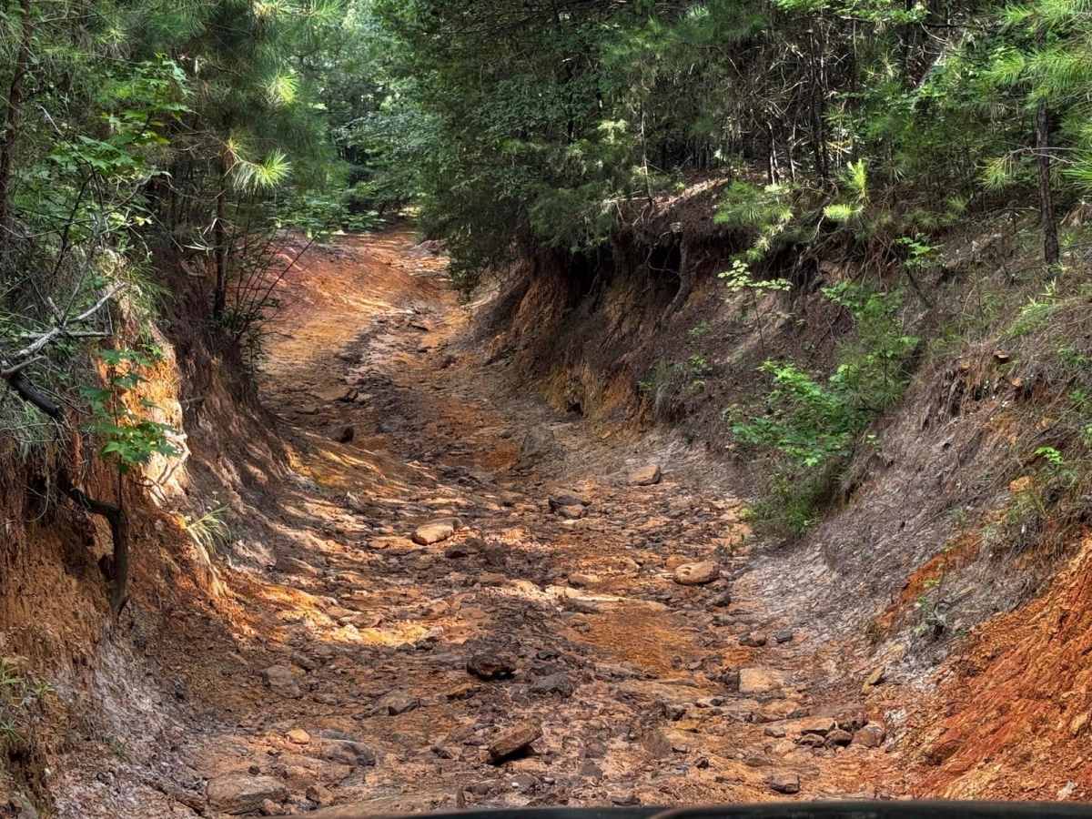 Clyde's Ravine photo 3