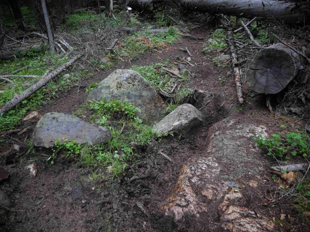 Trail Creek photo 3