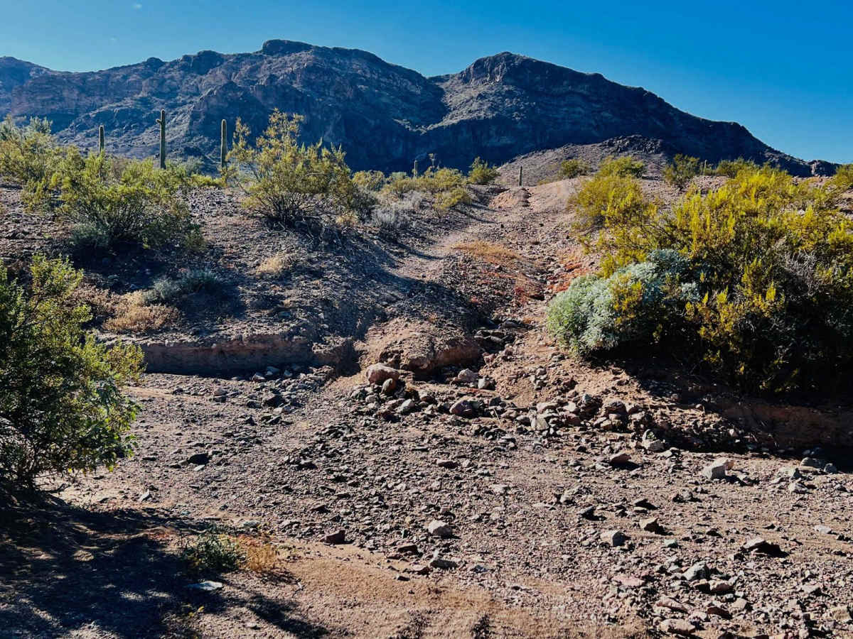Abandoned Mine Trail trail photo