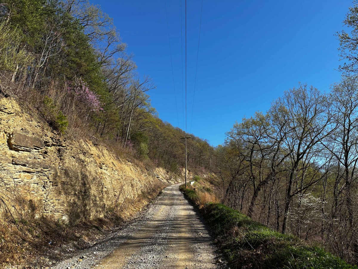 Flat Fork photo 3