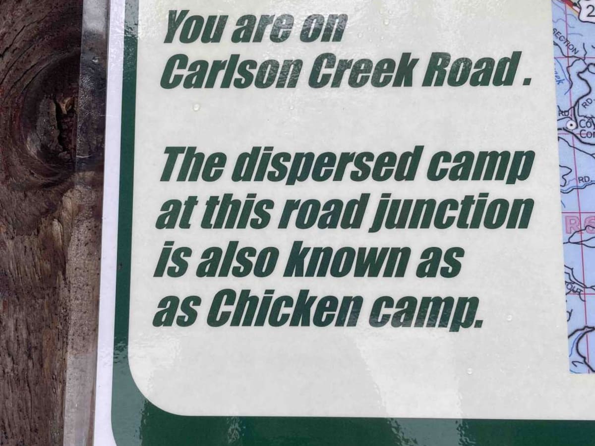 Carlson Creek Road photo 4