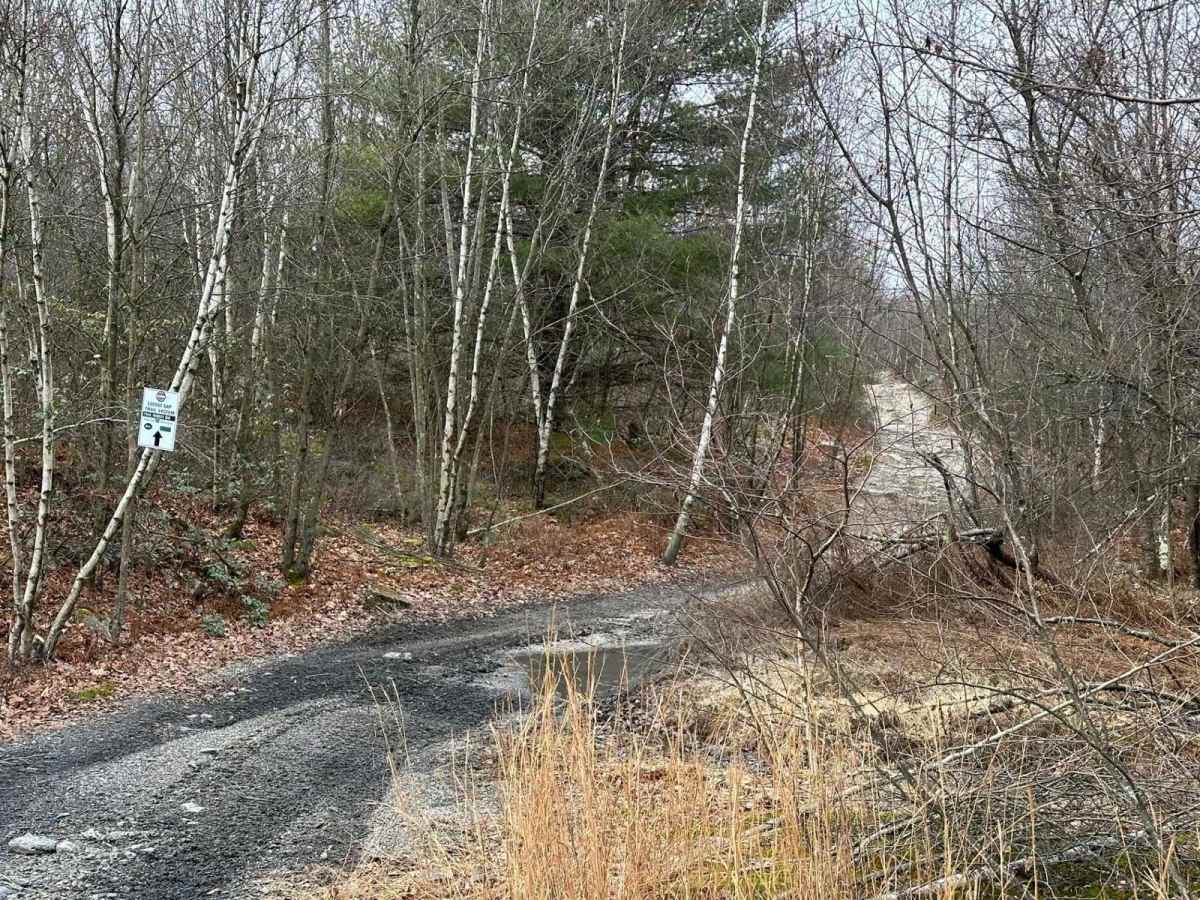 Locust Gap 64 photo 4