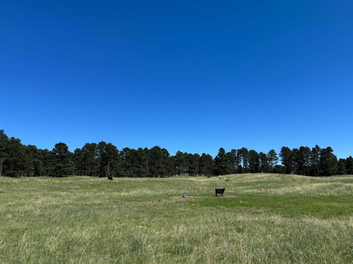 Three Camps (West) - NFR 201-2 photo 3