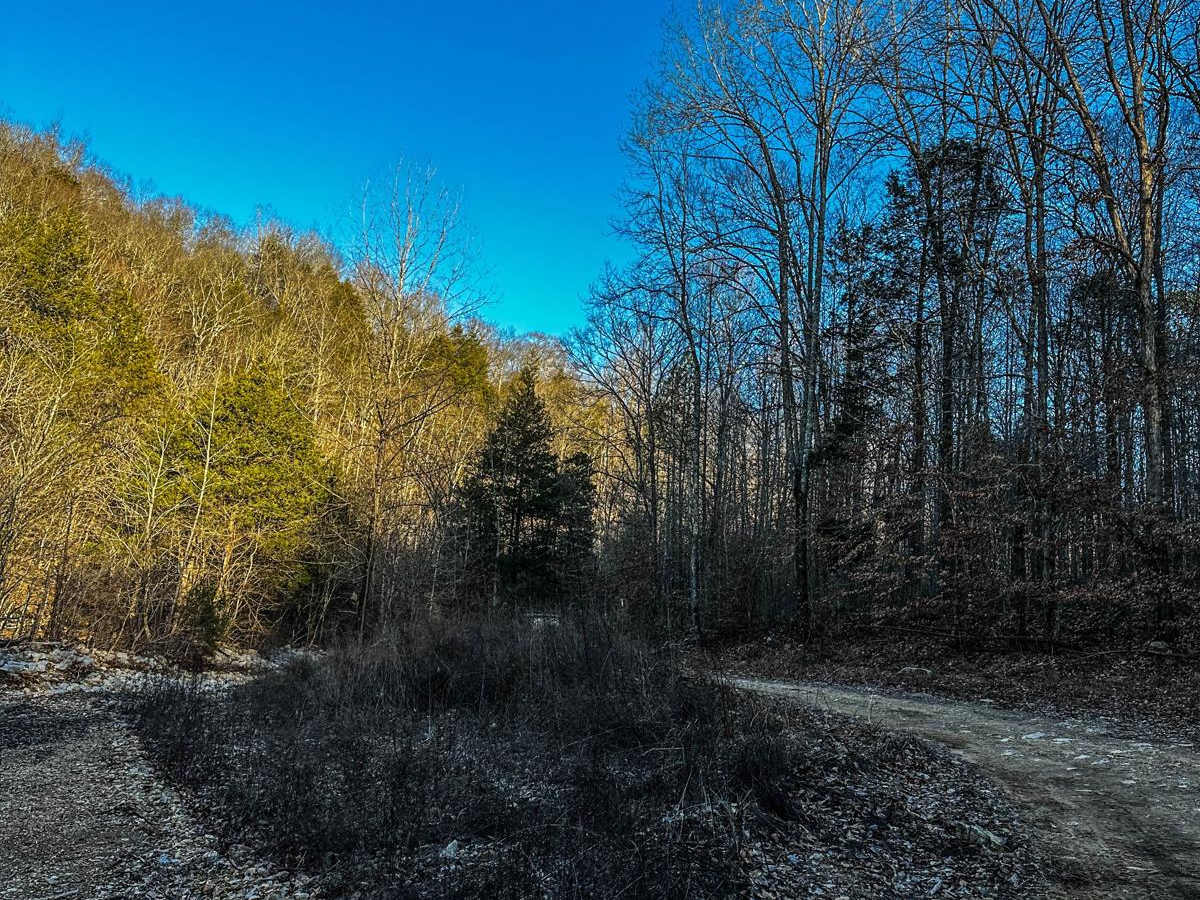 Poplar Springs Trail photo 2