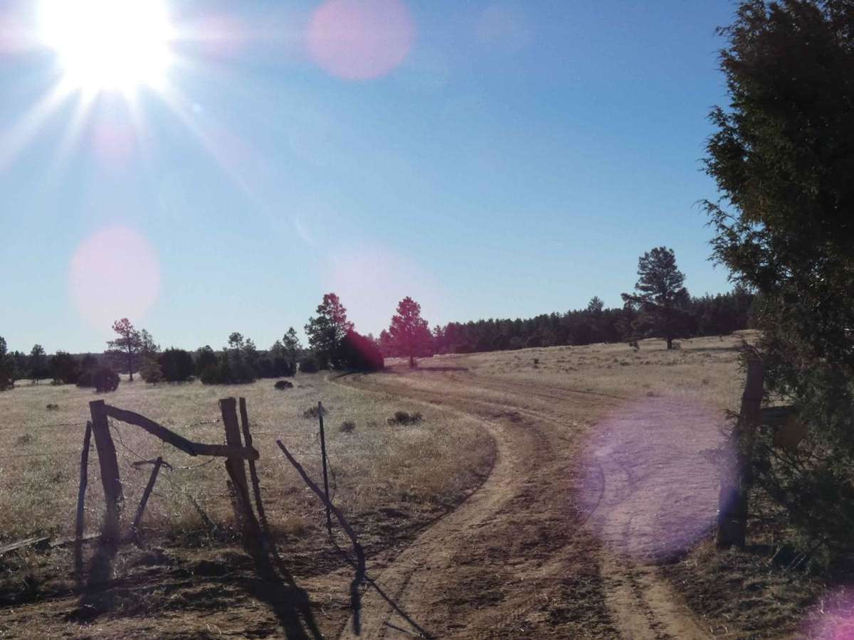 Barberro Mesa Drop photo 2