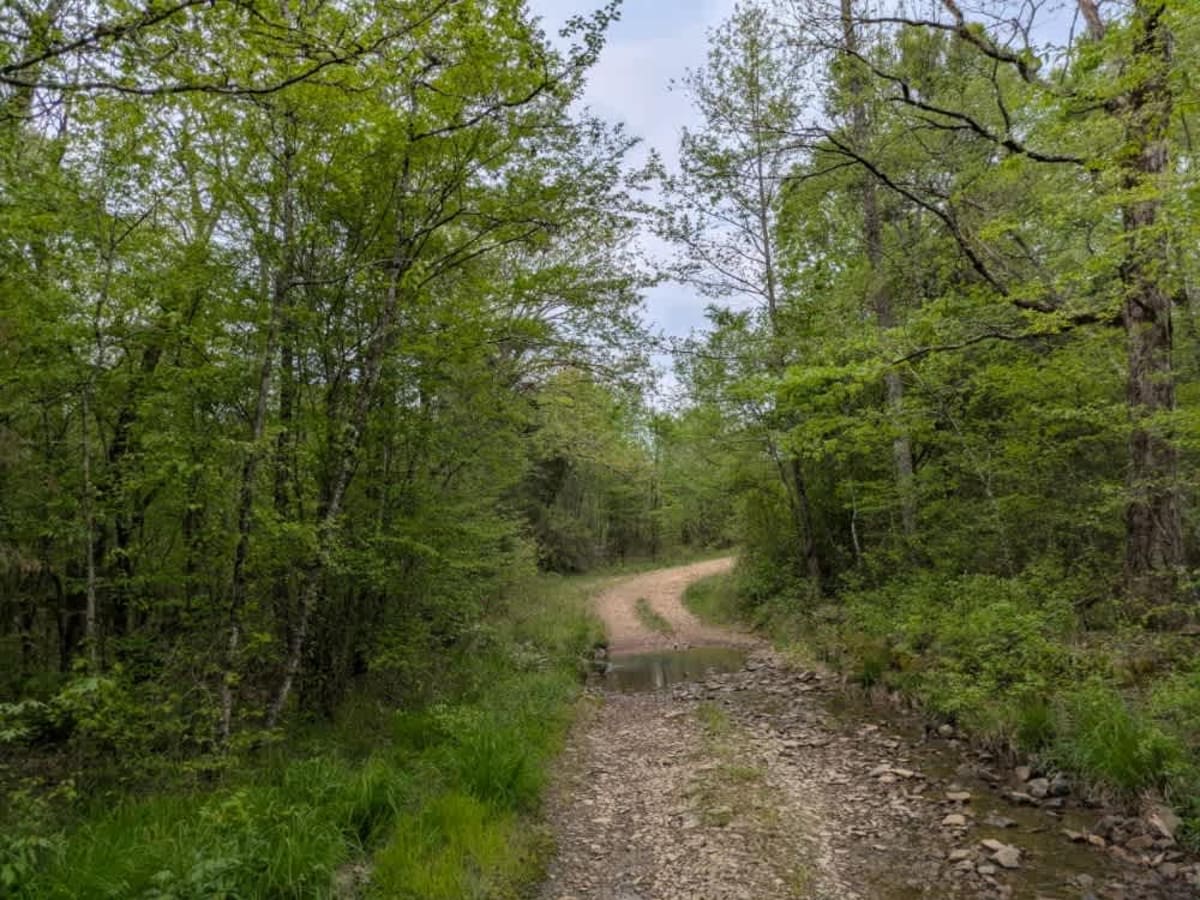 51705 photo 4