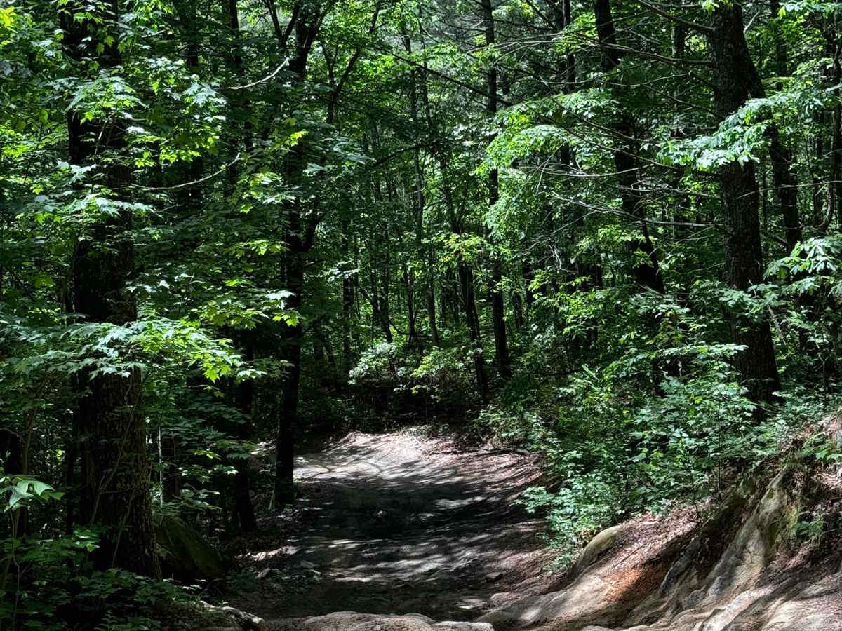 Brown Mountain Trail 1 photo 5