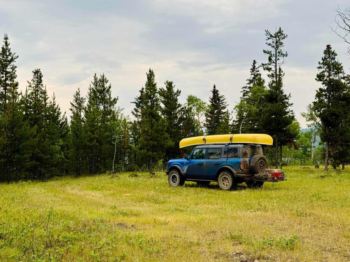 Elkin Taseko FSR trail photo