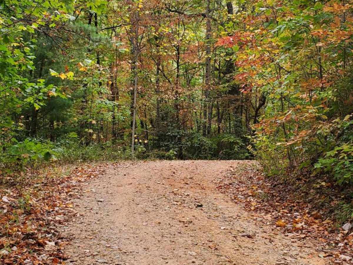 Williams Gap - FSR 346 photo 4