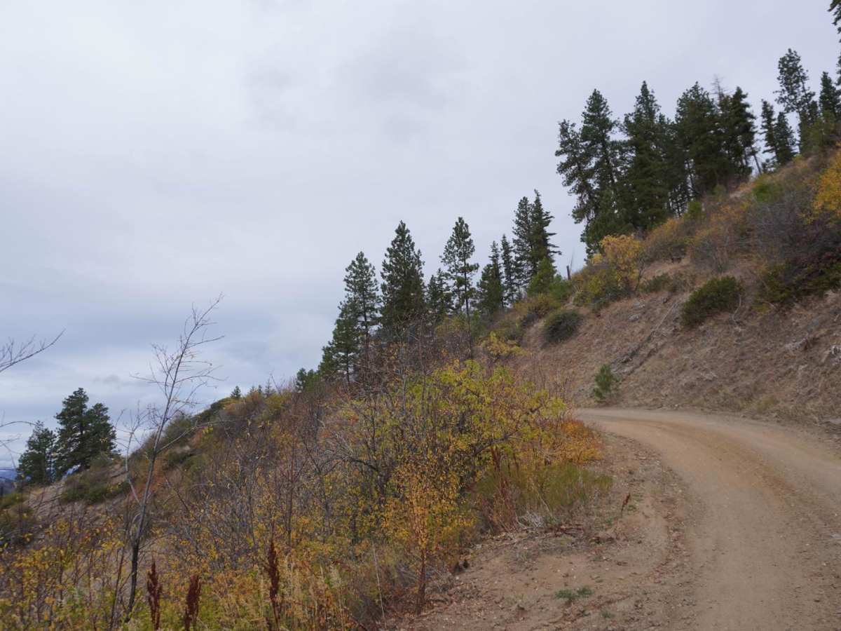 Blag Mountain photo 5