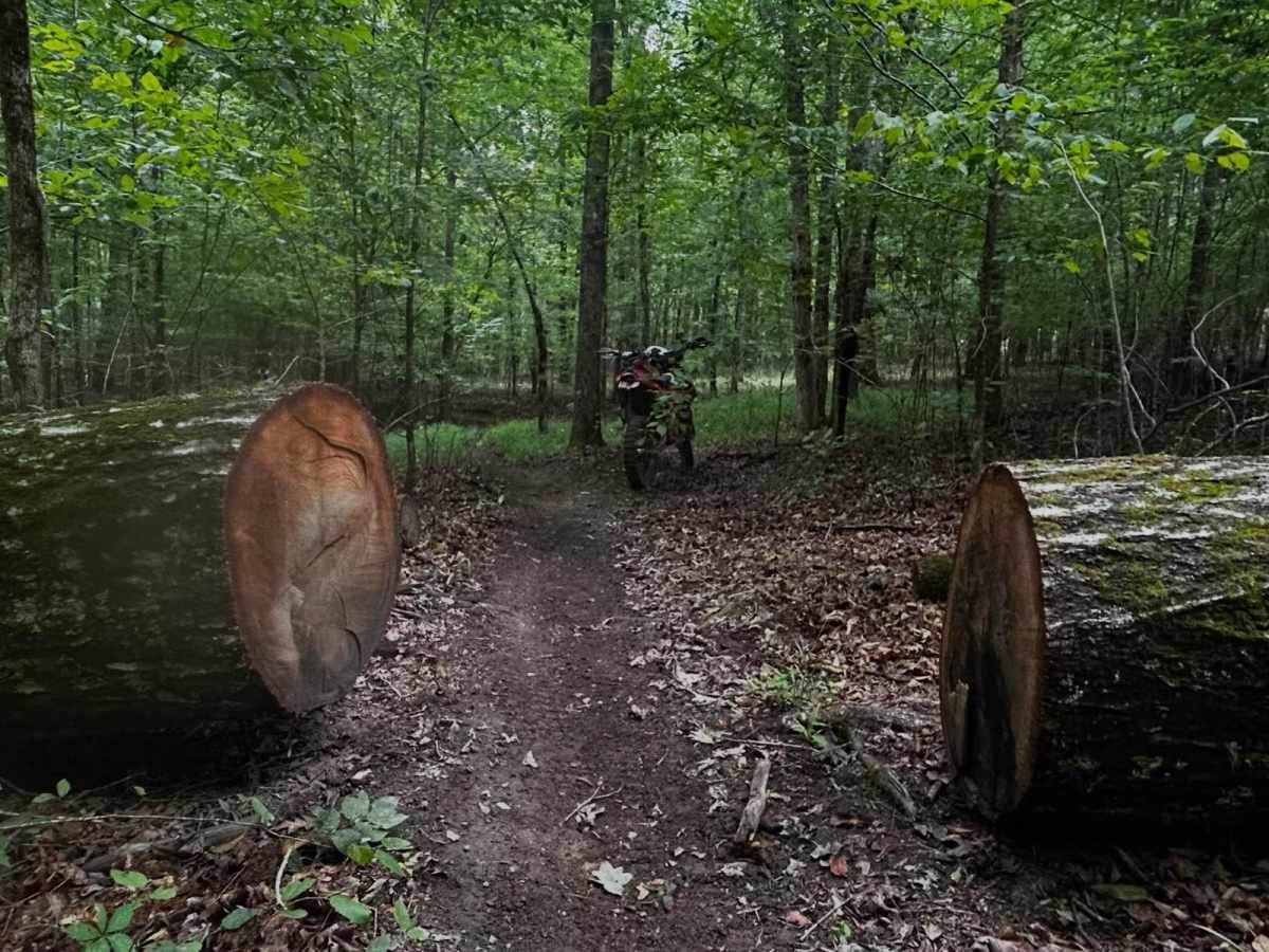 A Loop trail photo